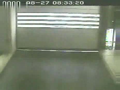 Woman Rams Parking Garage Door